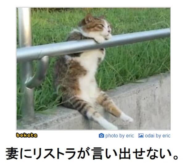 二十 旅 してはいけません 猫 の 面白い 画像 性別 メカニック 出撃者